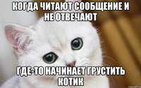 Когда читают сообщение и не отвечают Где-то начинает грустить котик