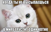 Когда ты не высыпаешься В мире грустит один котик