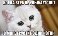 КОГДА ВЕРА НЕ УЛЫБАЕТСЯ((( В МИРЕ ГРУСТИТ ОДИН КОТИК