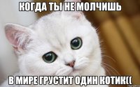 когда ты не молчишь в мире грустит один котик((