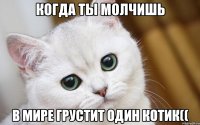 когда ты молчишь в мире грустит один котик((