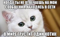 Когда ты не отвечаешь на мои сообщения, находясь в сети В мире грустит один котик