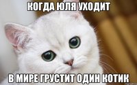 Когда Юля уходит В мире грустит один котик