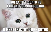 Когда тебе долго не отвечают на сообщение В мире грустит один котик