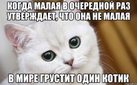 когда малая в очередной раз утверждает, что она не малая в мире грустит один котик