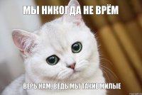 верь нам, ведь мы такие милые мы никогда не врём