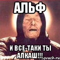 АЛЬФ И ВСЕ-ТАКИ ТЫ АЛКАШ!!!