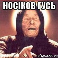 Носіков гусь 