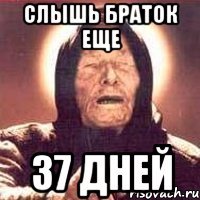 слышь браток еще 37 дней