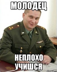 молодец неплохо учишся