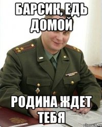 барсик, едь домой родина ждет тебя