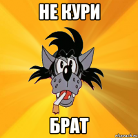 Не кури Брат