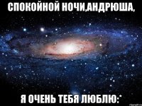 спокойной ночи,Андрюша, я очень тебя люблю:*