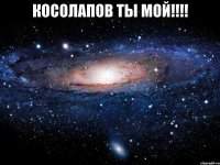 Косолапов ты мой!!!! 