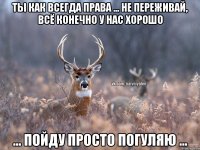 ты как всегда права ... Не переживай, всё конечно у нас хорошо ... пойду просто погуляю ...