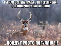 ты как всегда права ... Не переживай, всё конечно у нас хорошо ... пойду просто погуляю !!!