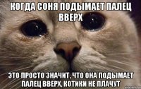 когда соня подымает палец вверх это просто значит, что она подымает палец вверх, котики не плачут