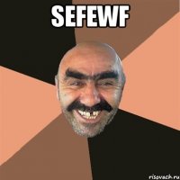 sefewf 