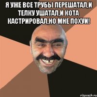 Я уже все трубы перешатал,и телку ушатал,и кота кастрировал,но мне похуи! 