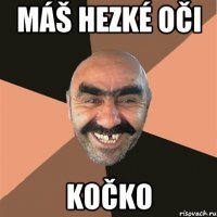 Máš hezké oči Kočko