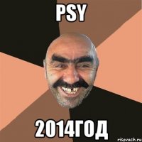 PSY 2014год