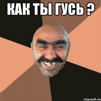 Как ты гусь ? 