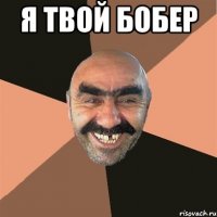 Я твой бобер 