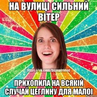 На вулиці сильний вітер Прихопила на всякій случай цеглину для малоі