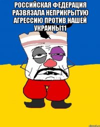 Российская Федерация развязала неприкрытую агрессию против нашей Украины11 