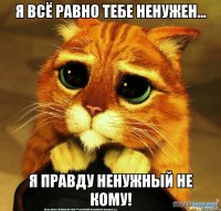 Я всё равно тебе ненужен... Я правду ненужный не кому!