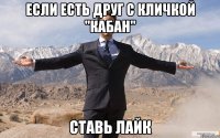 если есть друг с кличкой "кабан" ставь лайк