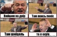 Вийшов на двір Там якись пеніс Там шніцель та я охуїв