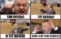 ТАМ КОЗЛЫ! ТУТ КОЗЛЫ! И ТУТ КОЗЁЛ! БЛИН, Я ЖЕ ТОЖЕ КОЗЁЛ!!!!!