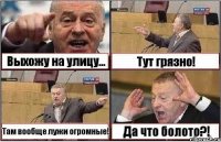 Выхожу на улицу... Тут грязно! Там вообще лужи огромные! Да что болото?!