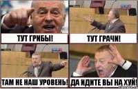 ТУТ ГРИБЫ! ТУТ ГРАЧИ! ТАМ НЕ НАШ УРОВЕНЬ! ДА ИДИТЕ ВЫ НА ХУЙ!