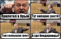 Прилетел в Крым Тут кипарис растёт Там солнышко греет А где бендеровцы?