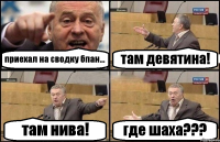 приехал на сводку бпан... там девятина! там нива! где шаха???