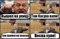 Вышел на улицу Там басуха валит Там прямоток поехал Весна хуле!