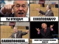 Ты откуда?! Соколовка??? Сакколооовка.... У меня там рооооодственники живут)))