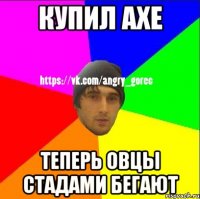 Купил AXE Теперь овцы стадами бегают