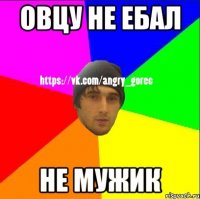 Овцу не ебал Не мужик