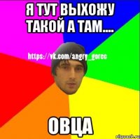 Я тут выхожу такой а там.... Овца