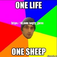 ONE LIFE ONE SHEEP