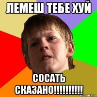 лемеш тебе хуй сосать сказано!!!!!!!!!!