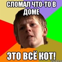 Сломал Что-то в доме Это всё кот!