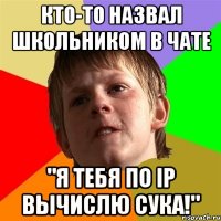 Кто-то назвал школьником в чате "Я тебя по ip вычислю сука!"