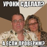 УРОКИ СДЕЛАЛ? А ЕСЛИ ПРОВЕРИМ?