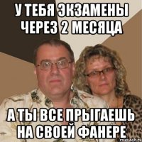 У тебя экзамены через 2 месяца А ты все прыгаешь на своей фанере