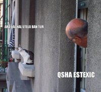 ARA QACHAL UTELU BAN TUR QSHA ESTEXIC