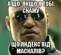 а що, якщо я тобі скажу Що яндекс від маскалів?